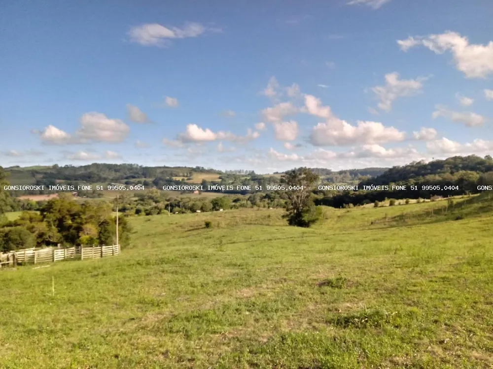 Chácara, 2 quartos, 40 hectares - Foto 7