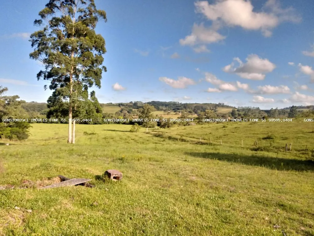 Fazenda, 40 hectares - Foto 4