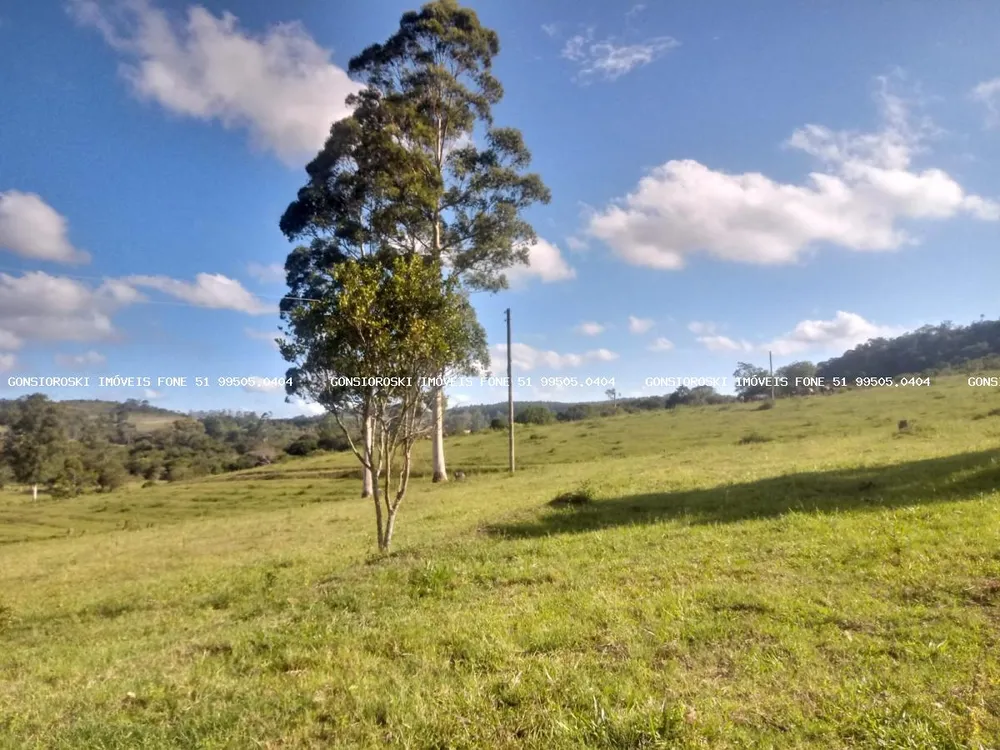 Chácara, 2 quartos, 40 hectares - Foto 4