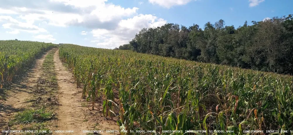 Loteamento e Condomínio, 37 hectares - Foto 3