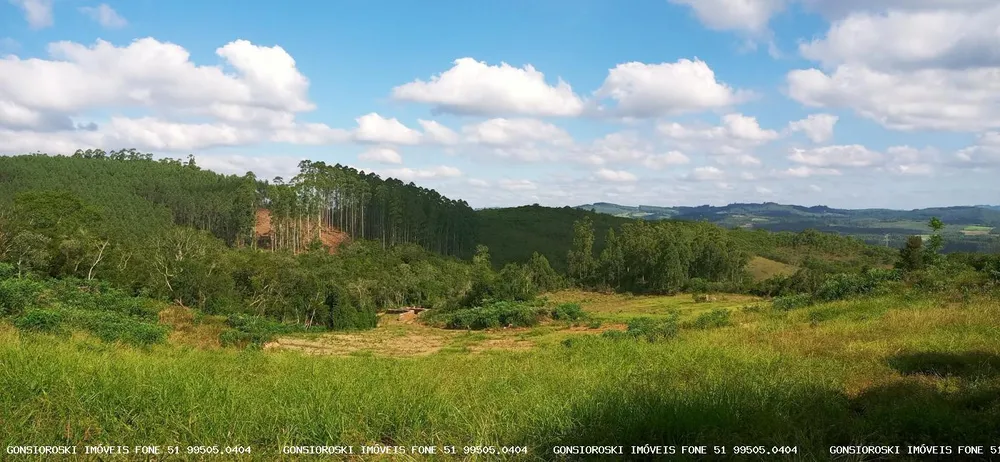 Loteamento e Condomínio, 37 hectares - Foto 2