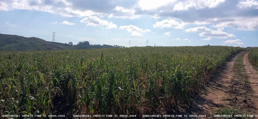 Loteamento e Condomínio, 37 hectares - Foto 4