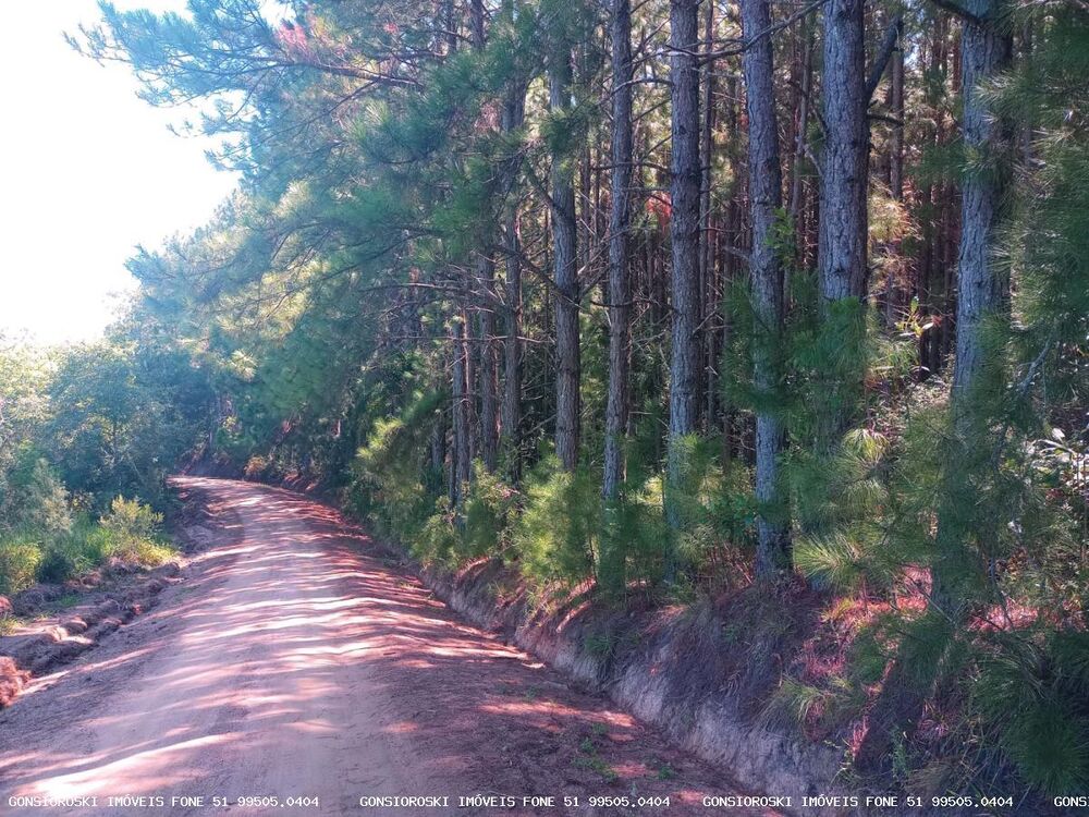 Fazenda, 80 m² - Foto 4