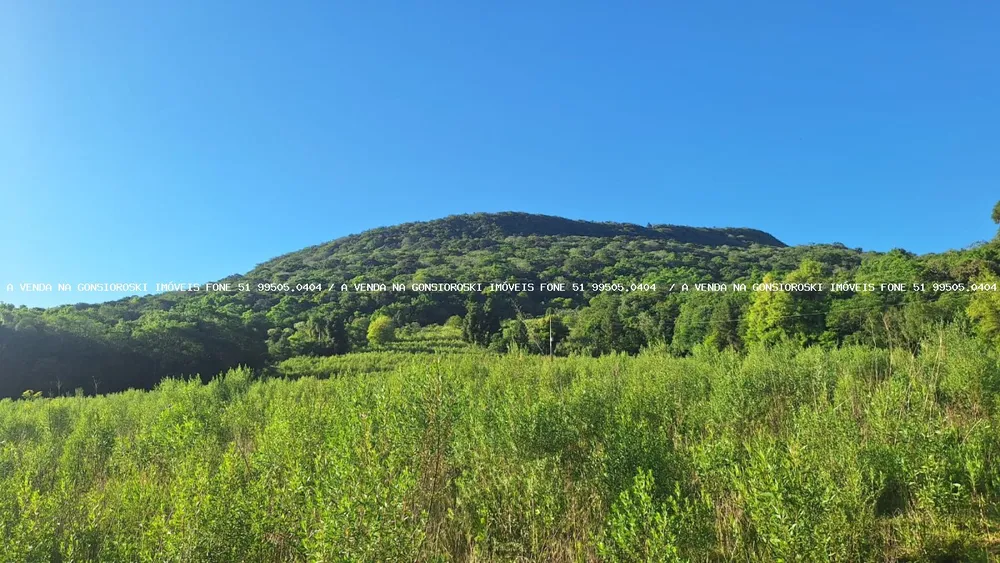 Loteamento e Condomínio, 8 hectares - Foto 6