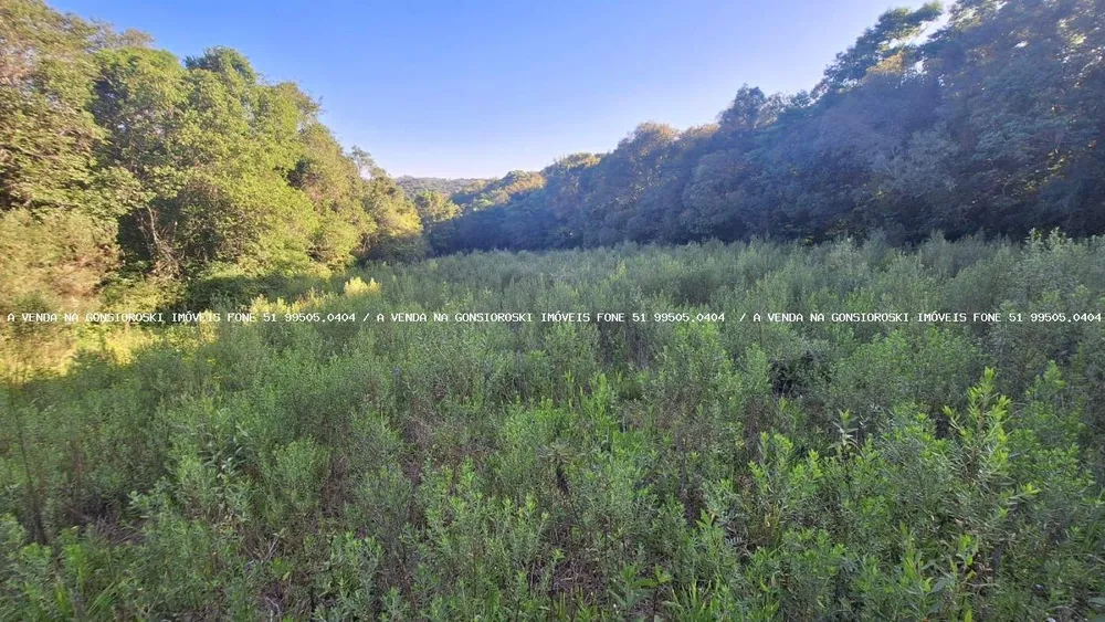 Loteamento e Condomínio, 8 hectares - Foto 4