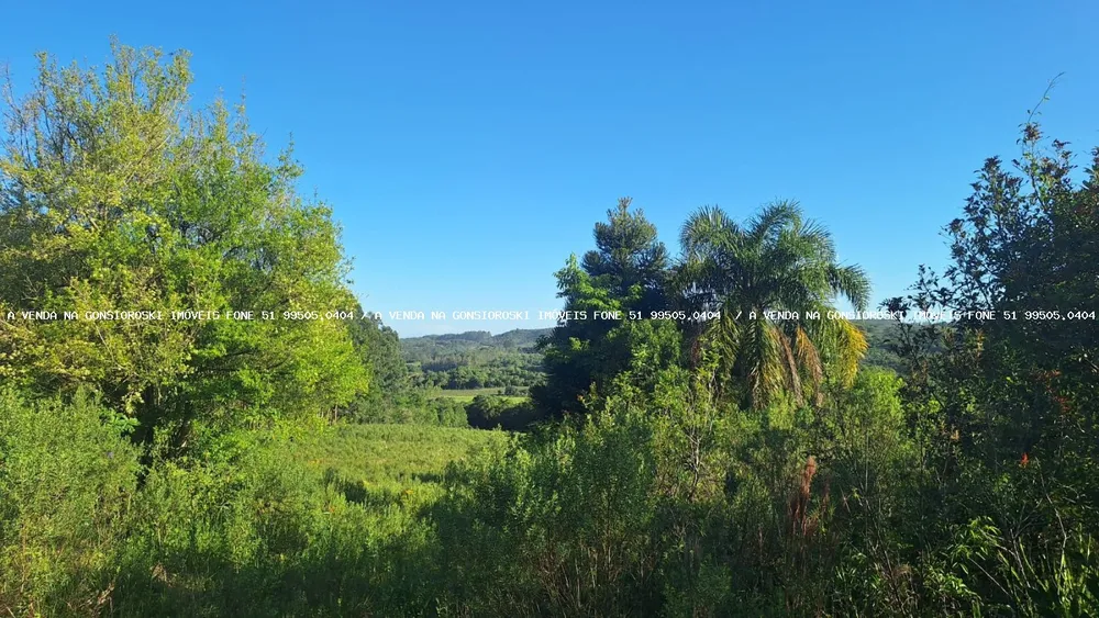 Loteamento e Condomínio, 8 hectares - Foto 1
