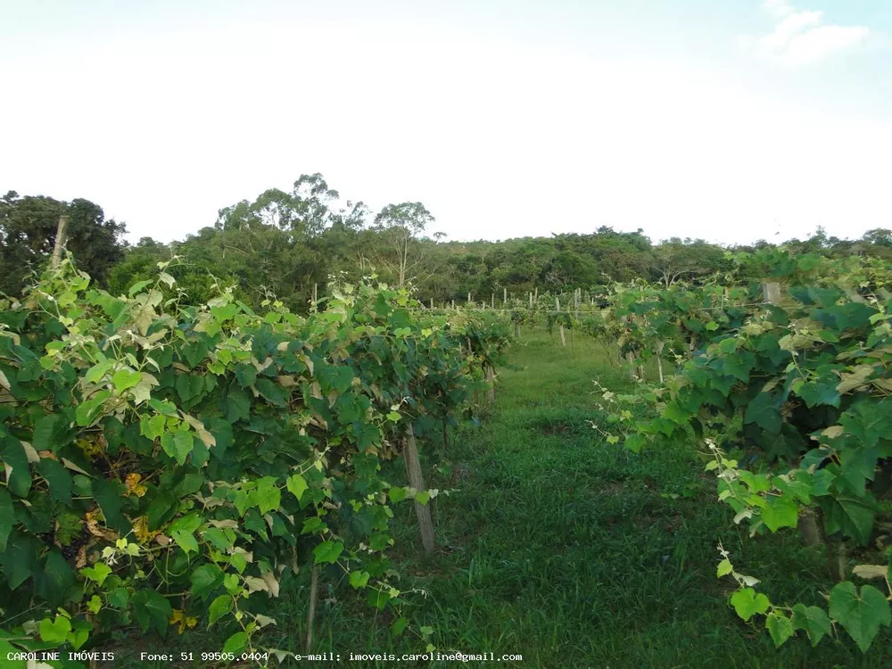 Fazenda à venda com 2 quartos, 180000m² - Foto 10