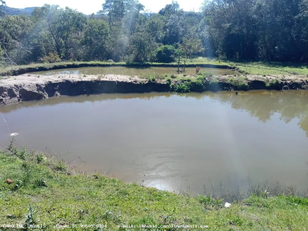 Fazenda à venda com 2 quartos, 180000m² - Foto 7