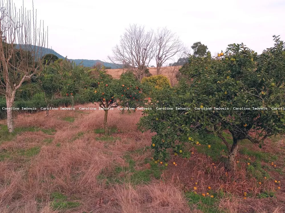 Fazenda à venda com 3 quartos, 23m² - Foto 3