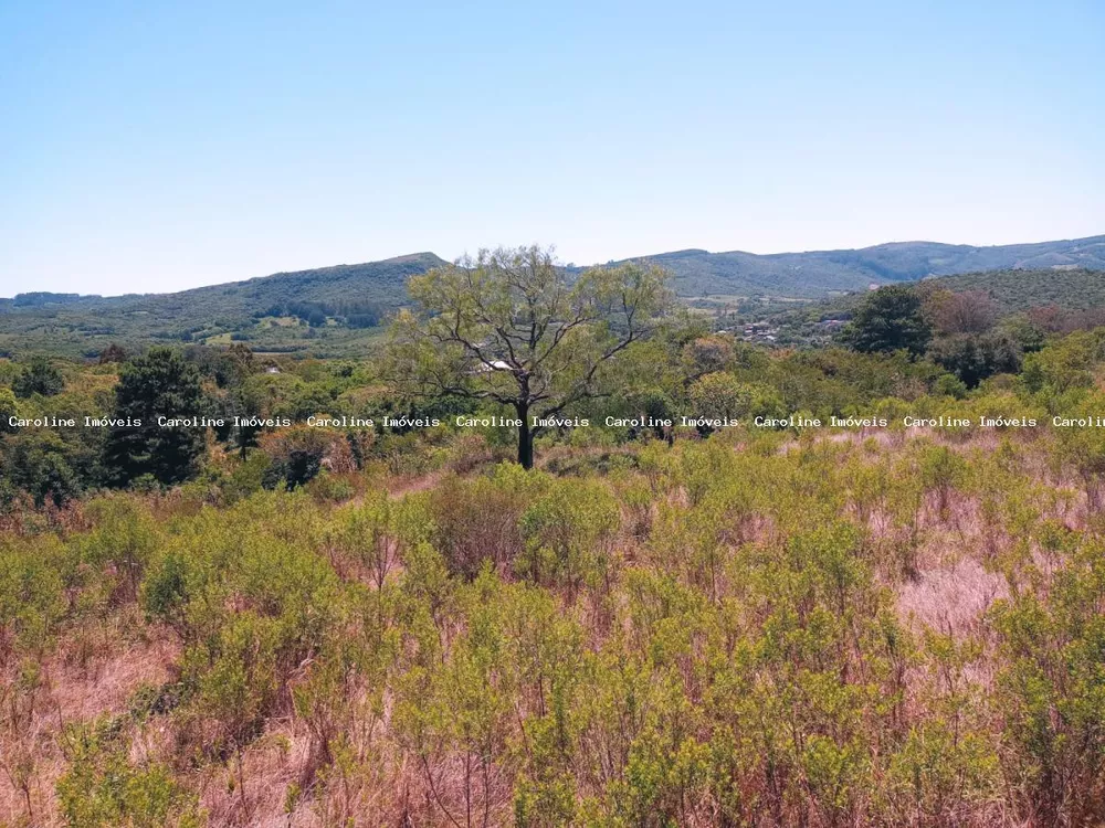 Terreno à venda, 5650m² - Foto 2