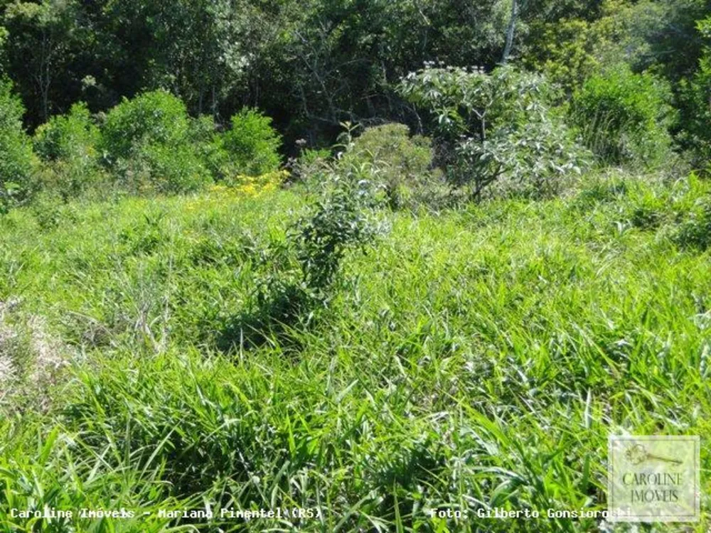 Loteamento e Condomínio, 32 hectares - Foto 6
