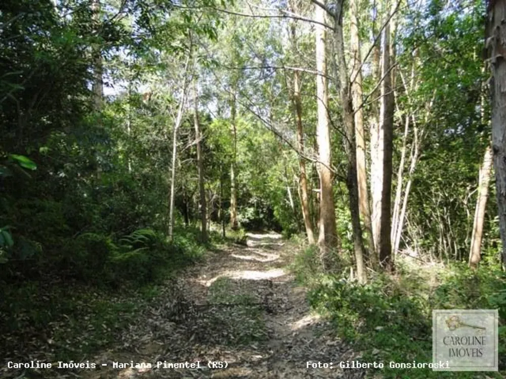 Loteamento e Condomínio, 32 hectares - Foto 2