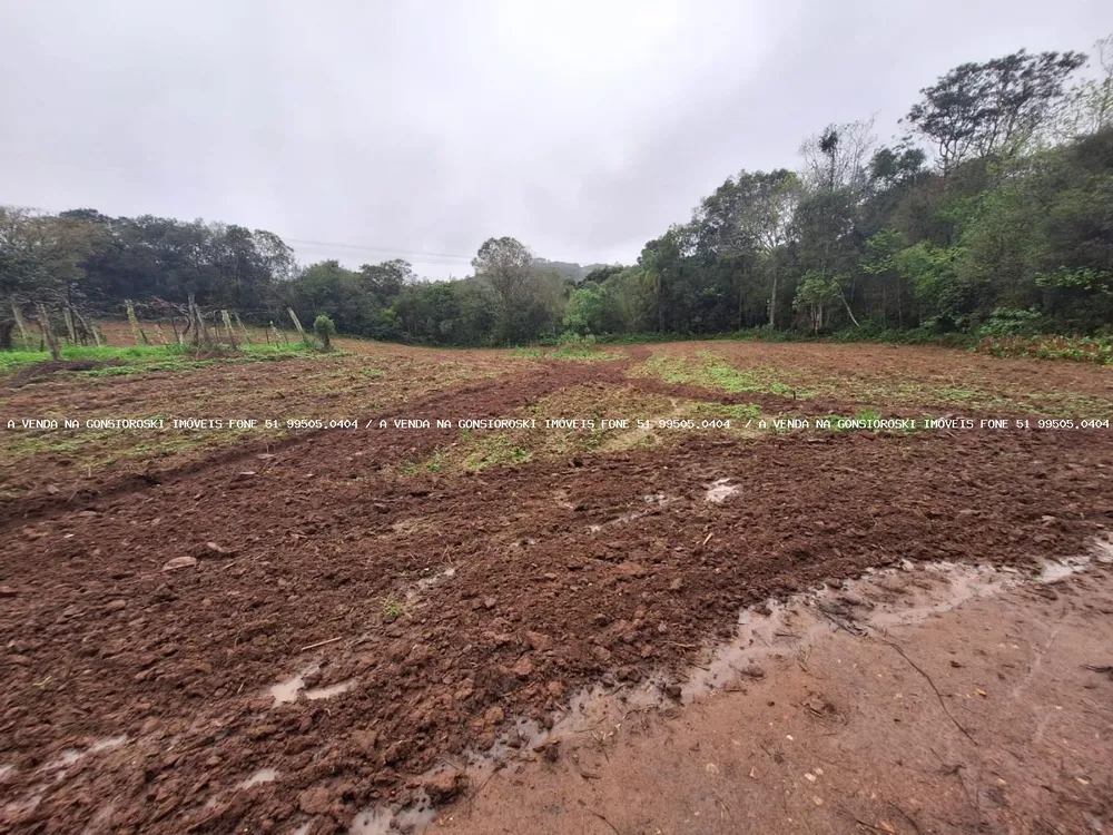 Sítio, 2 quartos, 14 hectares - Foto 4