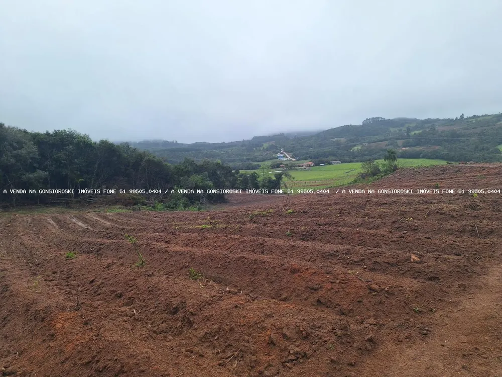 Sítio, 2 quartos, 14 hectares - Foto 1