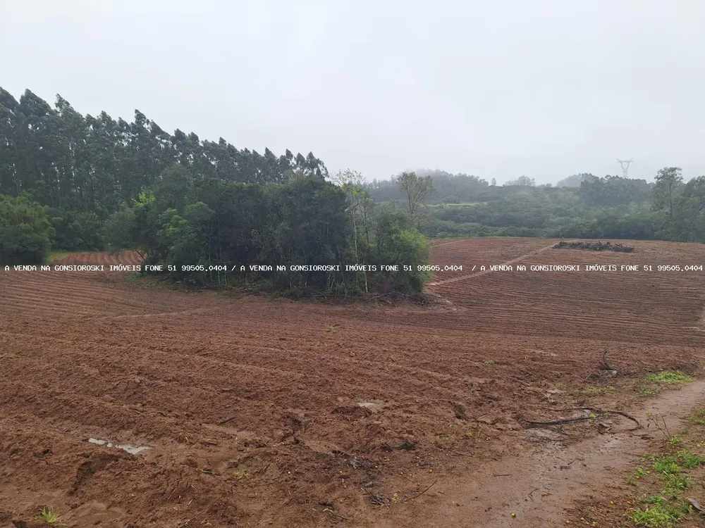 Sítio, 2 quartos, 14 hectares - Foto 6