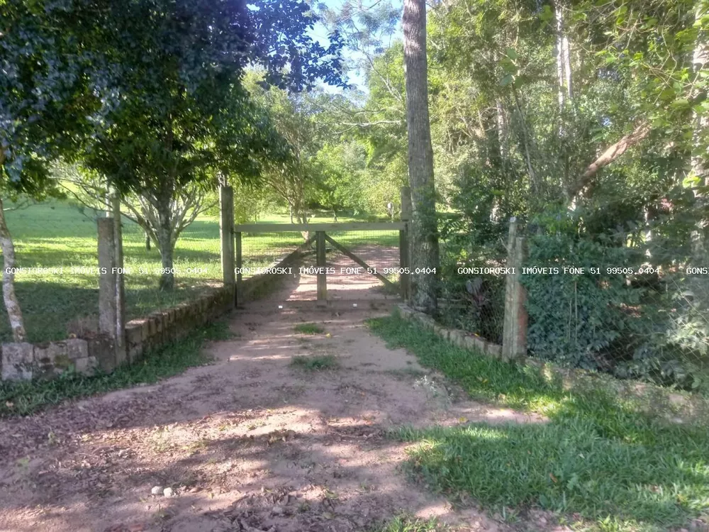 Fazenda à venda com 2 quartos, 400000m² - Foto 2