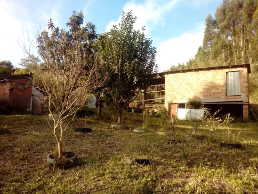 Sítio, 1 quarto, 3 hectares - Foto 3