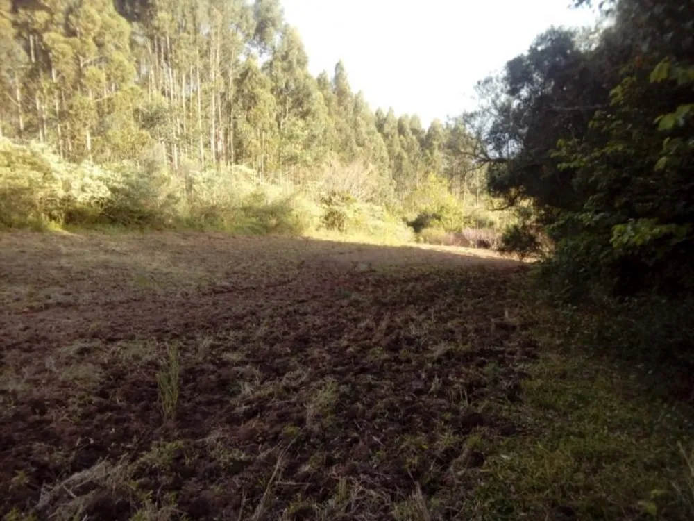 Chácara, 1 quarto, 3 hectares - Foto 2