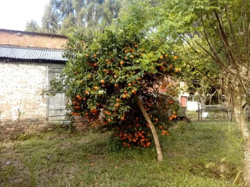 Sítio, 1 quarto, 3 hectares - Foto 1