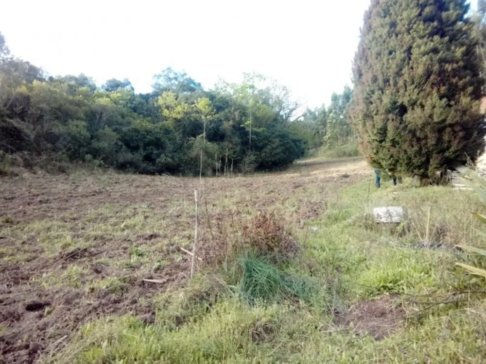 Sítio, 1 quarto, 3 hectares - Foto 4