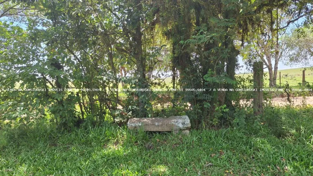 Chácara, 1 m² - Foto 2