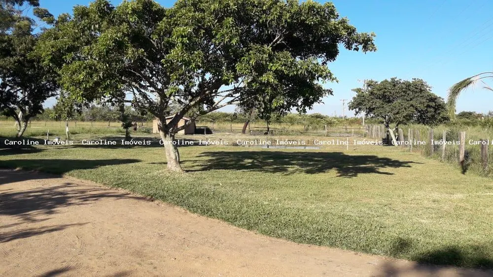 Chácara, 4 quartos, 2 hectares - Foto 3