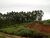 Chácara, 5000 m² - Foto 1