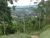 Chácara, 5000 m² - Foto 4