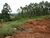 Chácara, 5000 m² - Foto 2
