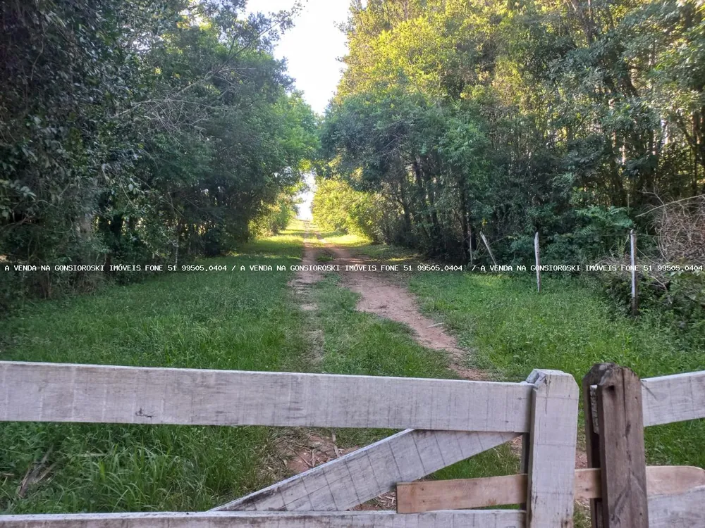 Chácara, 5 quartos, 2 hectares - Foto 3