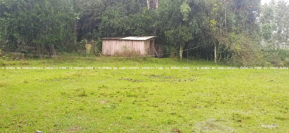 Fazenda à venda com 3 quartos, 70000m² - Foto 11