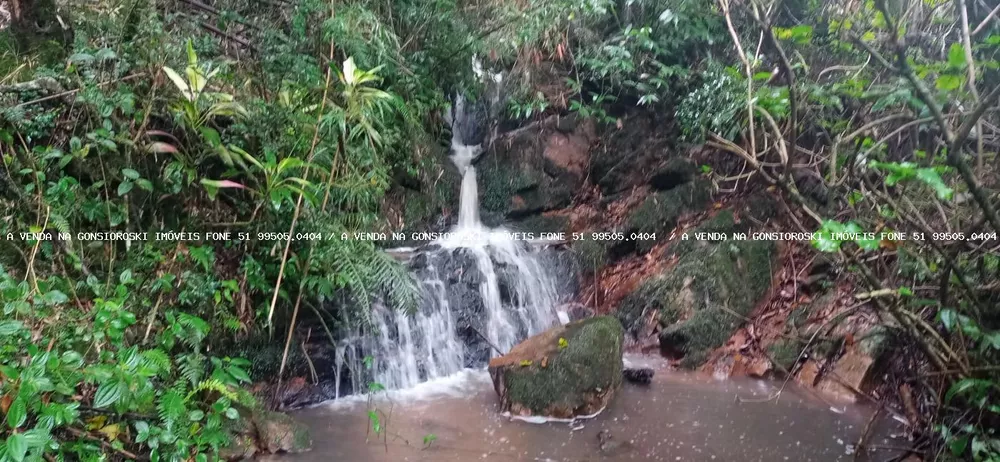 Fazenda à venda com 3 quartos, 70000m² - Foto 1