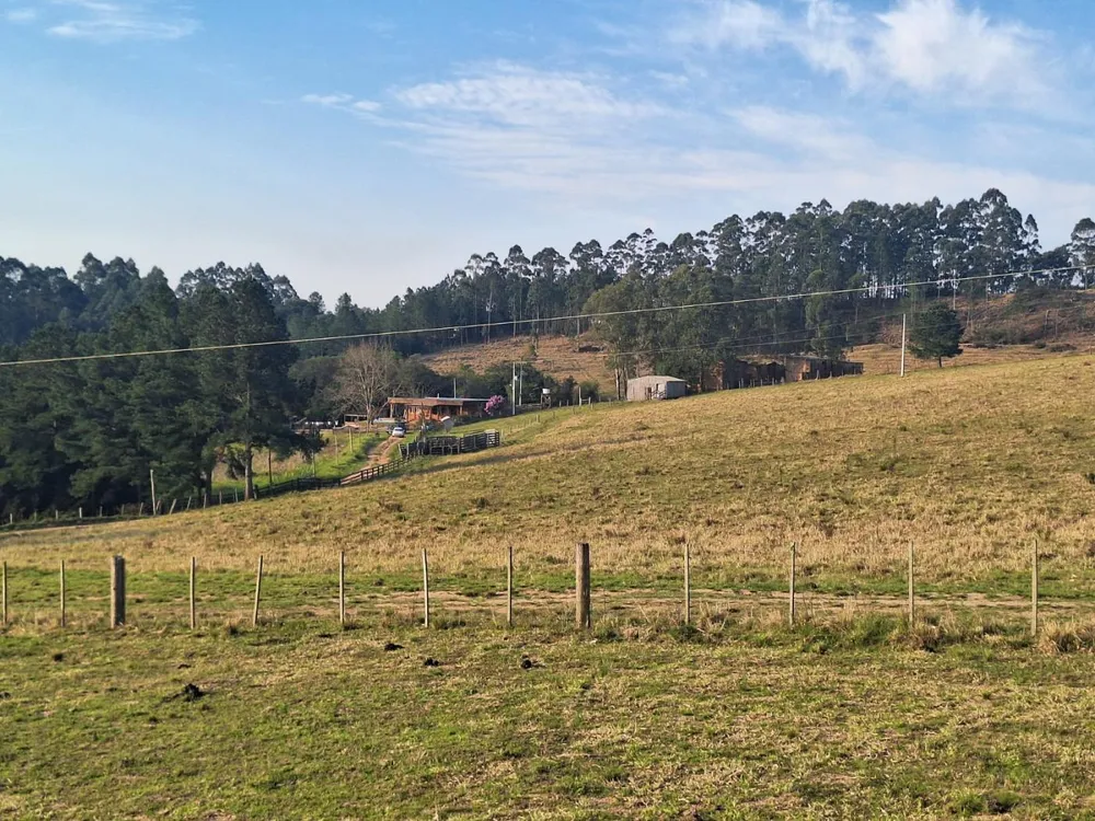 Sítio, 4 quartos, 8 hectares - Foto 4