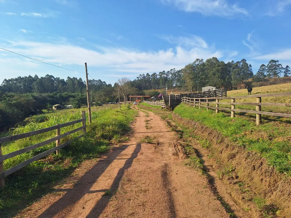 Sítio, 4 quartos, 8 hectares - Foto 8