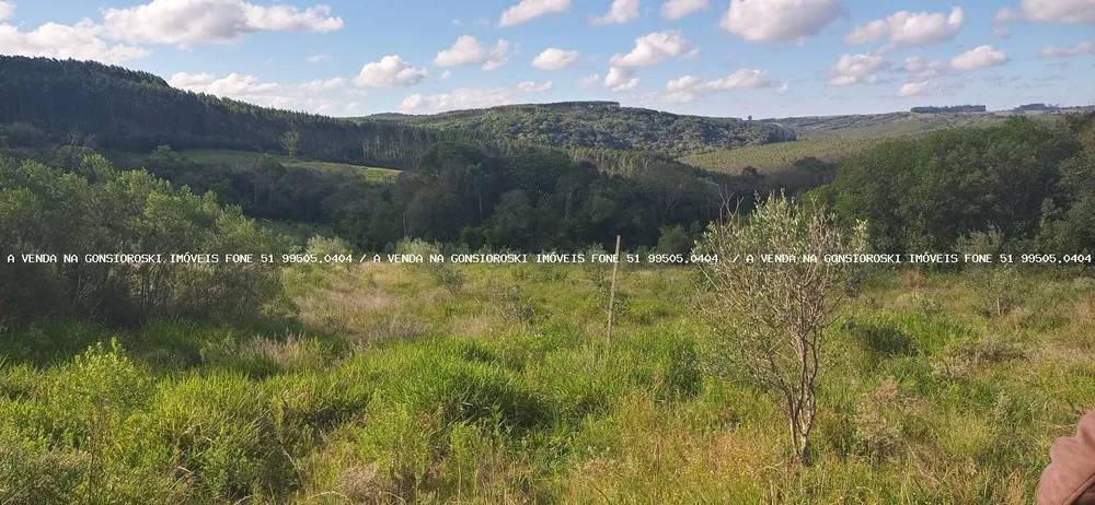 Fazenda, 19 hectares - Foto 6