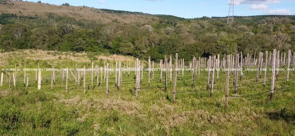 Fazenda, 19 hectares - Foto 7