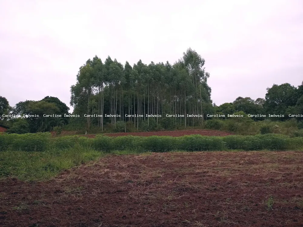Chácara, 5 hectares - Foto 4