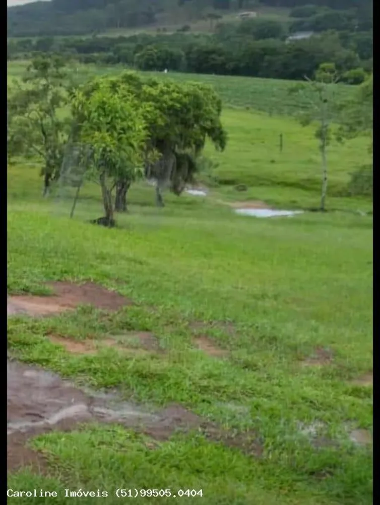 Sítio, 21 hectares - Foto 4