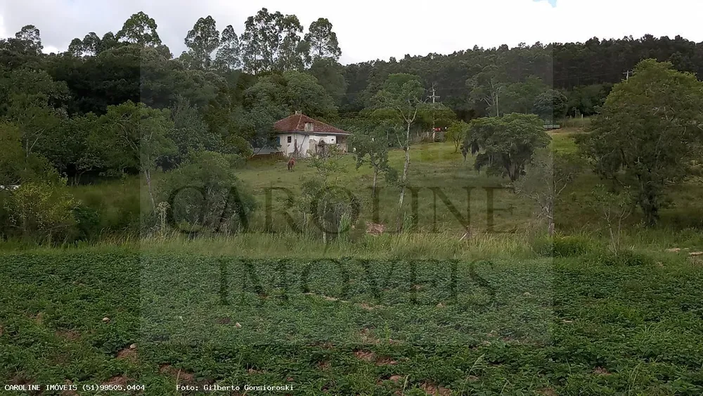 Sítio, 21 hectares - Foto 6