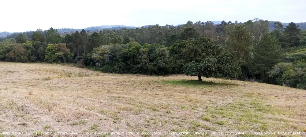 Loteamento e Condomínio, 5 hectares - Foto 1