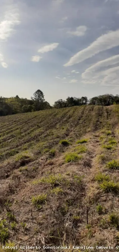 Loteamento e Condomínio, 5 hectares - Foto 3