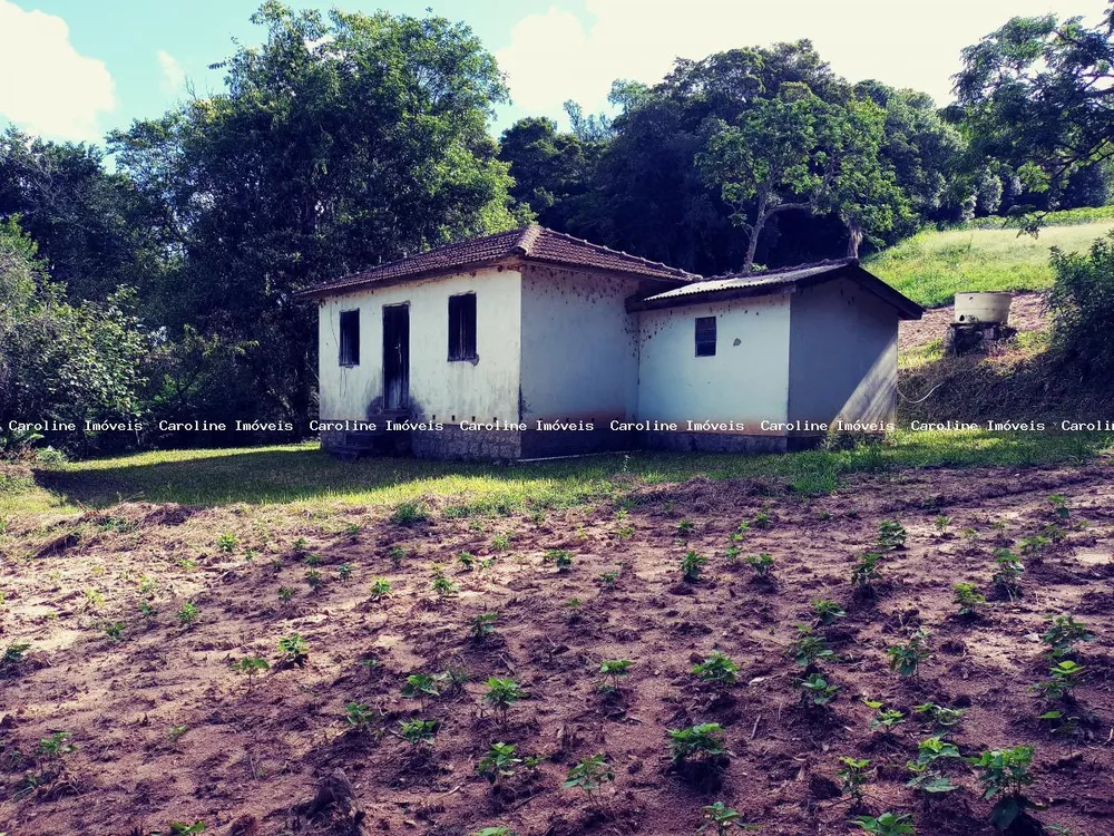 Fazenda à venda, 250000m² - Foto 2