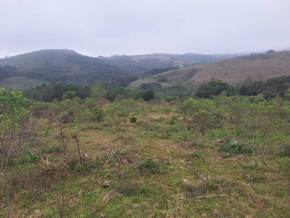 Loteamento e Condomínio, 16 hectares - Foto 3