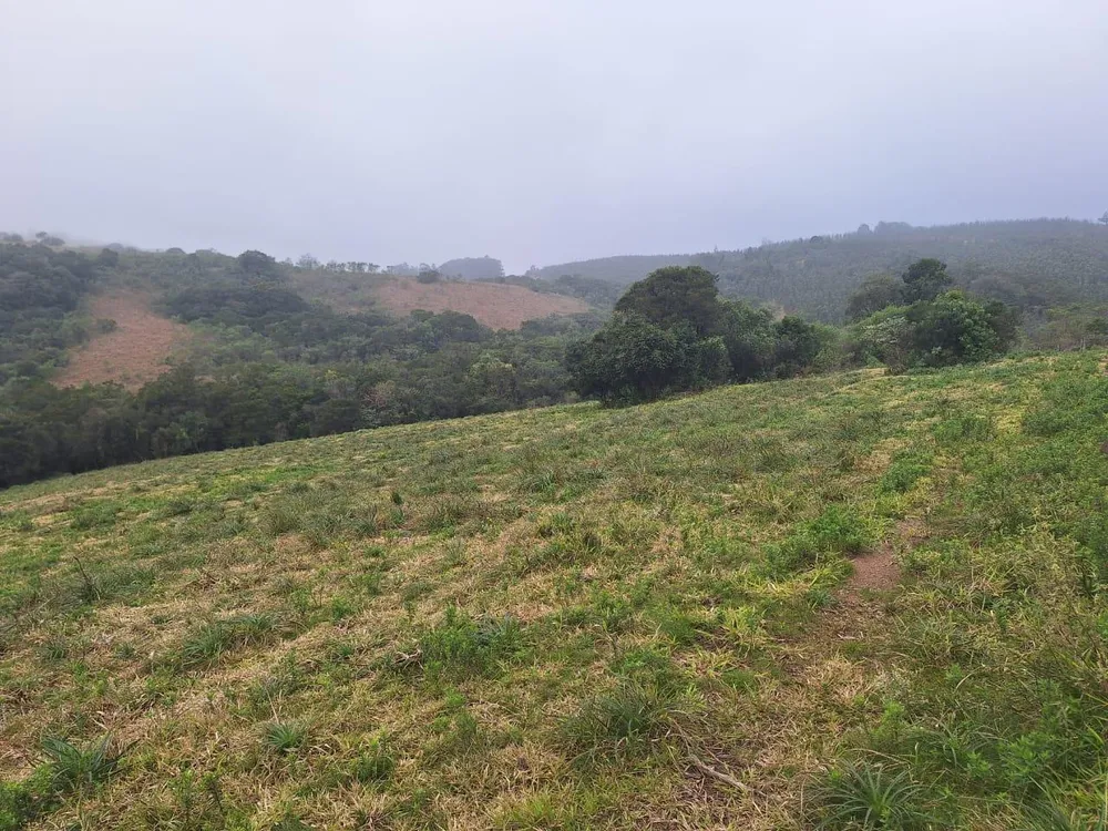 Loteamento e Condomínio, 13 hectares - Foto 4