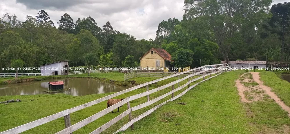 Fazenda à venda com 4 quartos, 130000m² - Foto 10