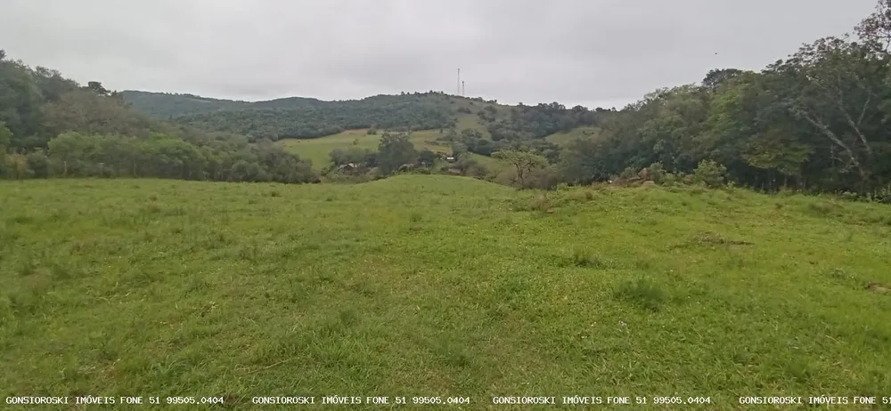Chácara, 1 quarto, 2 hectares - Foto 8