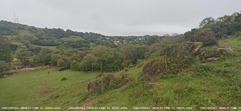 Chácara, 1 quarto, 2 hectares - Foto 1