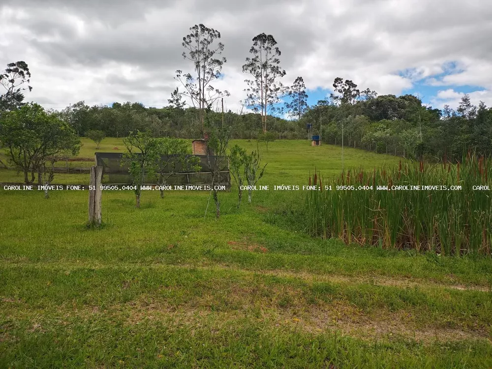 Chácara, 3 quartos, 3 hectares - Foto 8
