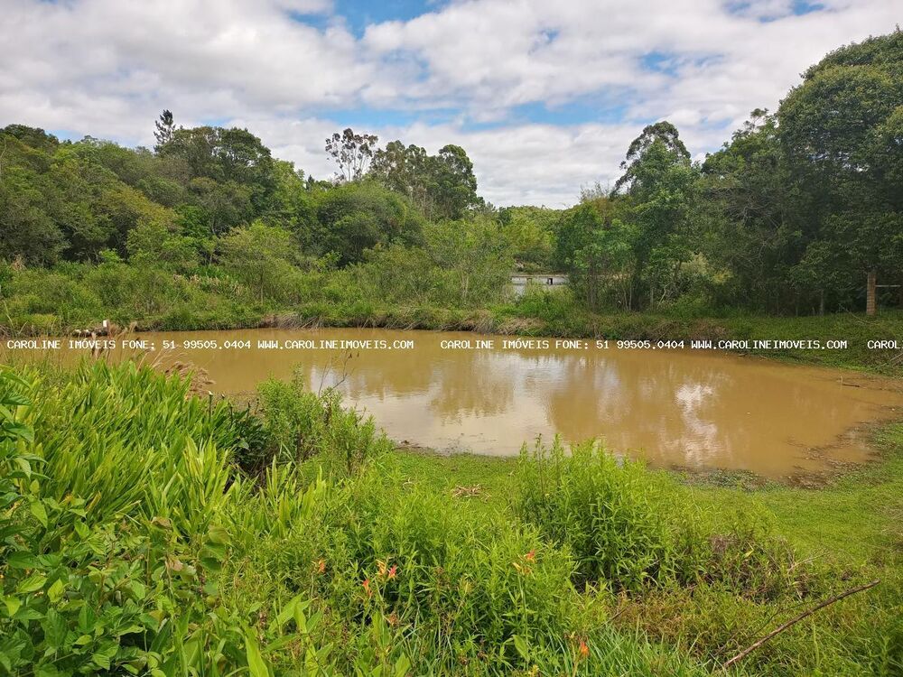 Chácara à venda com 3 quartos, 29000m² - Foto 2