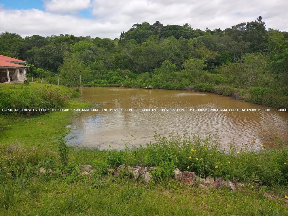 Chácara à venda com 3 quartos, 29000m² - Foto 4